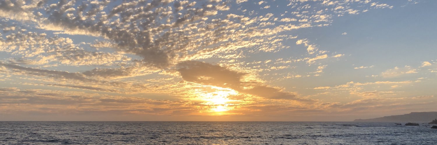 Natalia Figueroa Lima banner