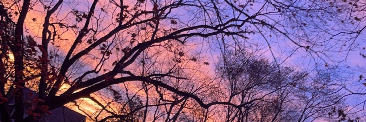 ayedonnyy's profile banner image