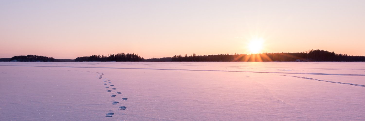 ThirdPathInst's profile banner image