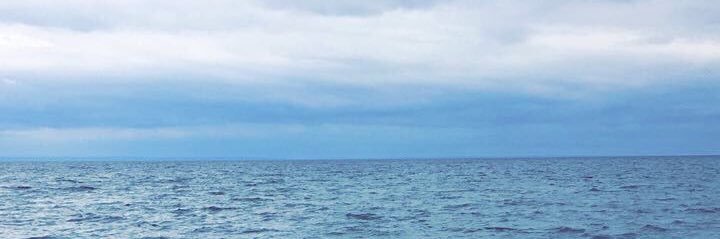 meggjohnston's profile banner image