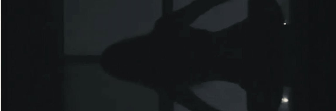 ZulemaSupina's profile banner image