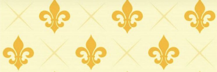 Lizalri's profile banner image