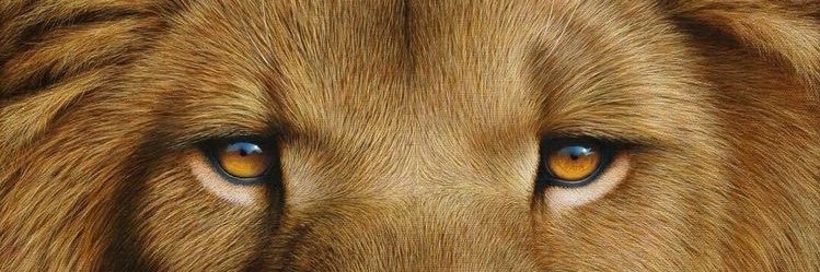 jujufridaz's profile banner image