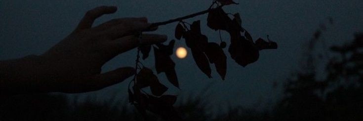 _sw333's profile banner image