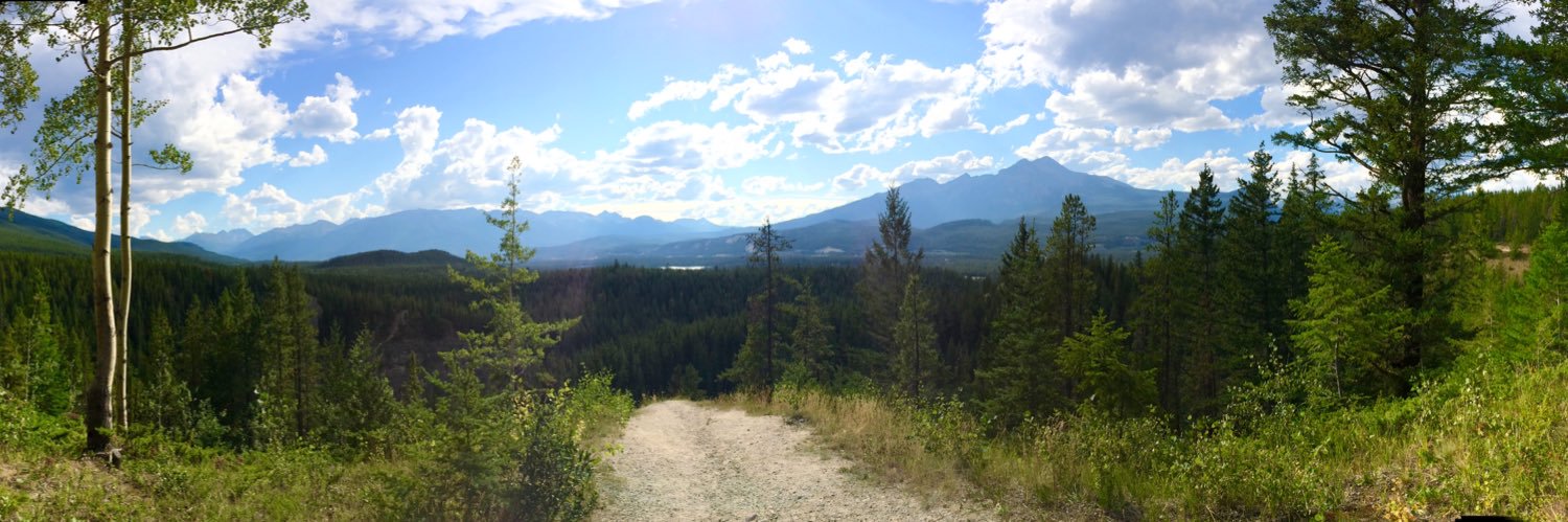 Bridget Killian banner