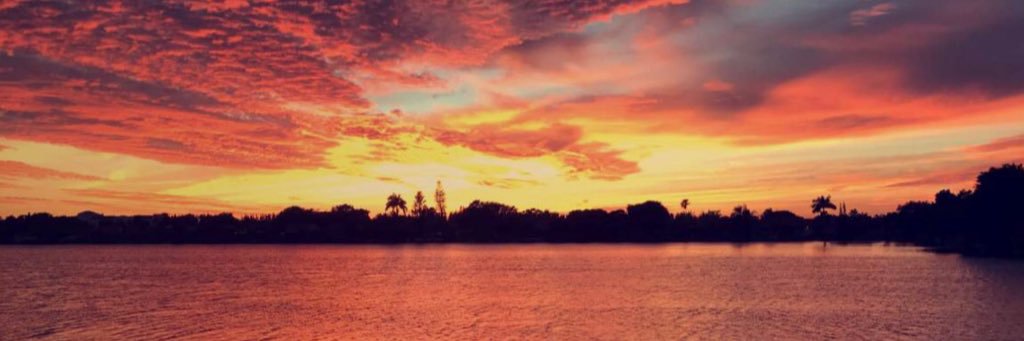 lcohen653's profile banner image