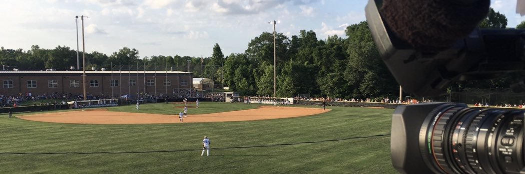 Ledford Baseball banner