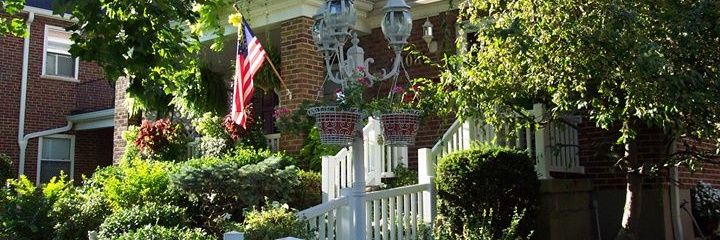 schaney888's profile banner image