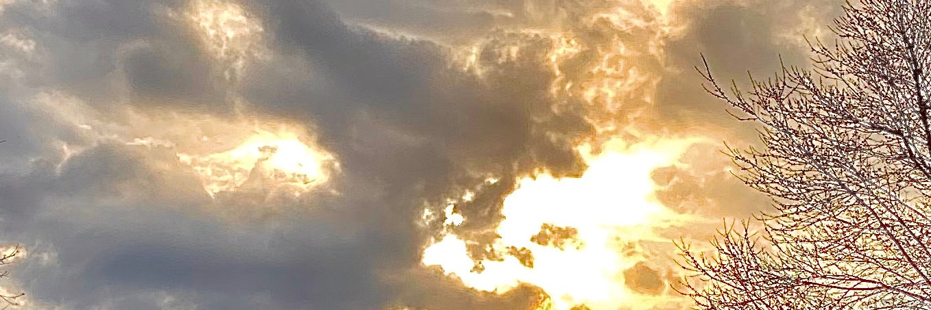 FLAsun22's profile banner image