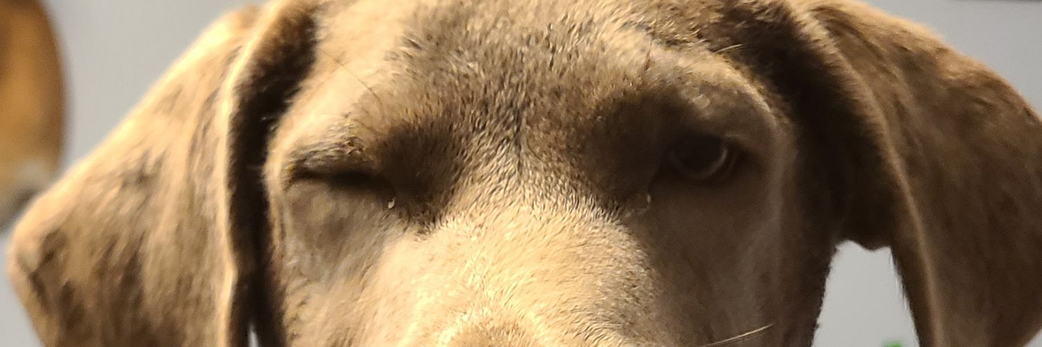 masongunther's profile banner image