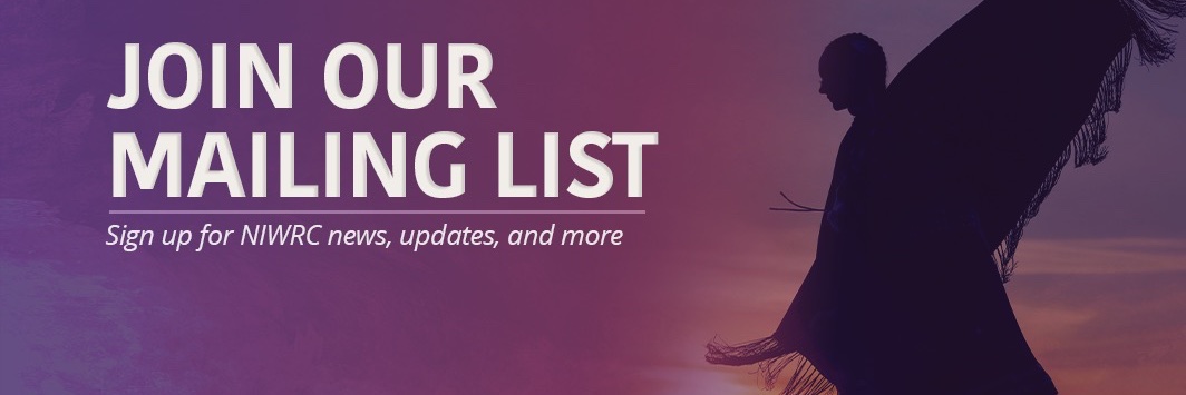 National Indigenous Women's Resource Center banner