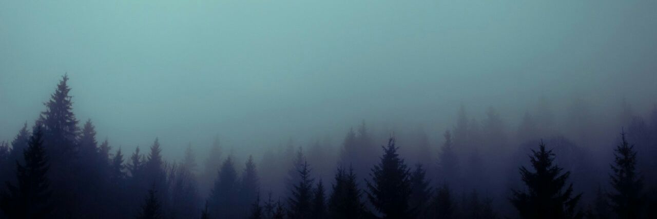 Ashes_of_light's profile banner image