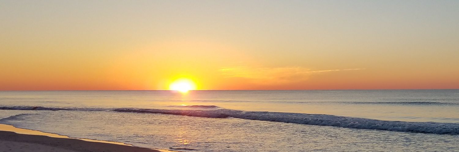 Shelley Summerson banner