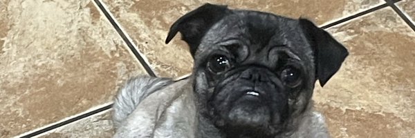 ThiccumsNickums Profile Banner