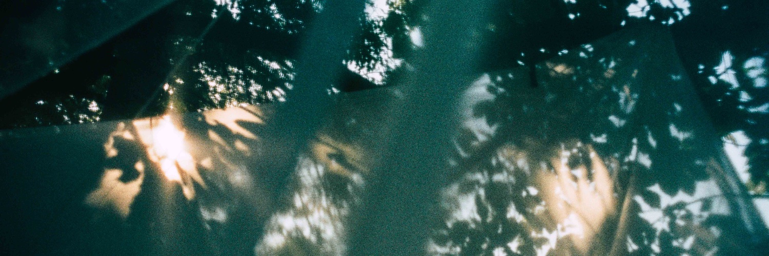 Philippa Neels banner