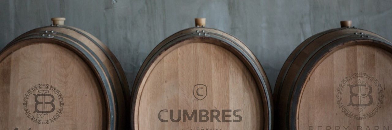 PiscoCumbres's profile banner image