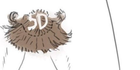 spiralizer's profile banner image