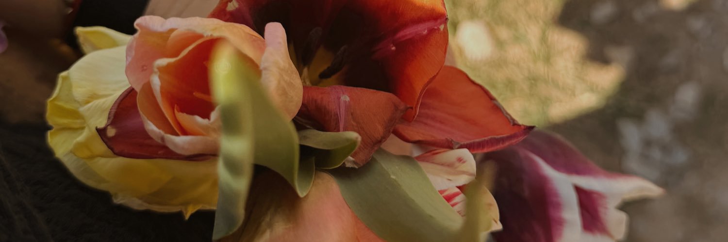 𝑁𝑒𝑟𝑒𝑎 banner