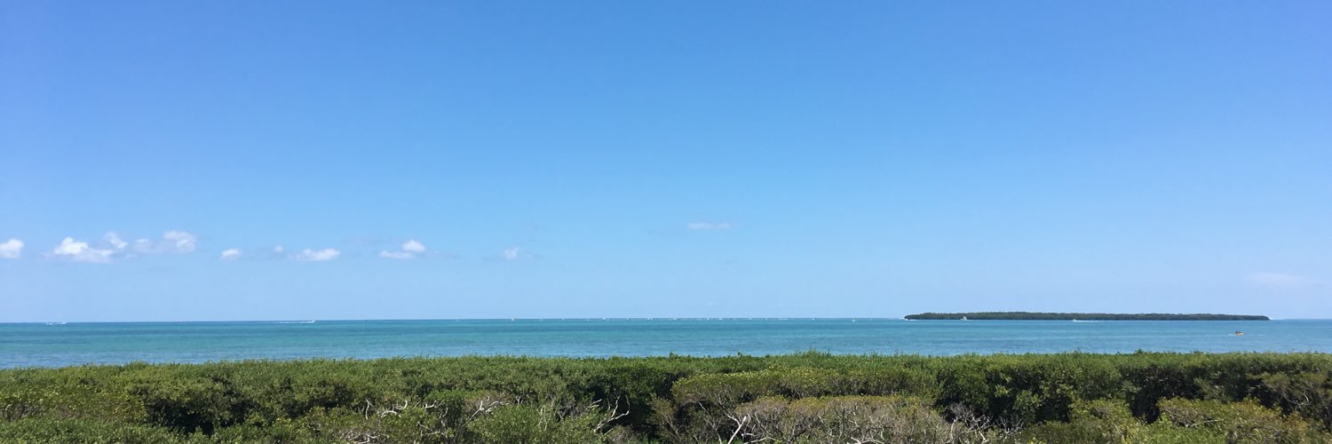lexlamm's profile banner image