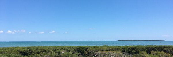 lexlamm Profile Banner