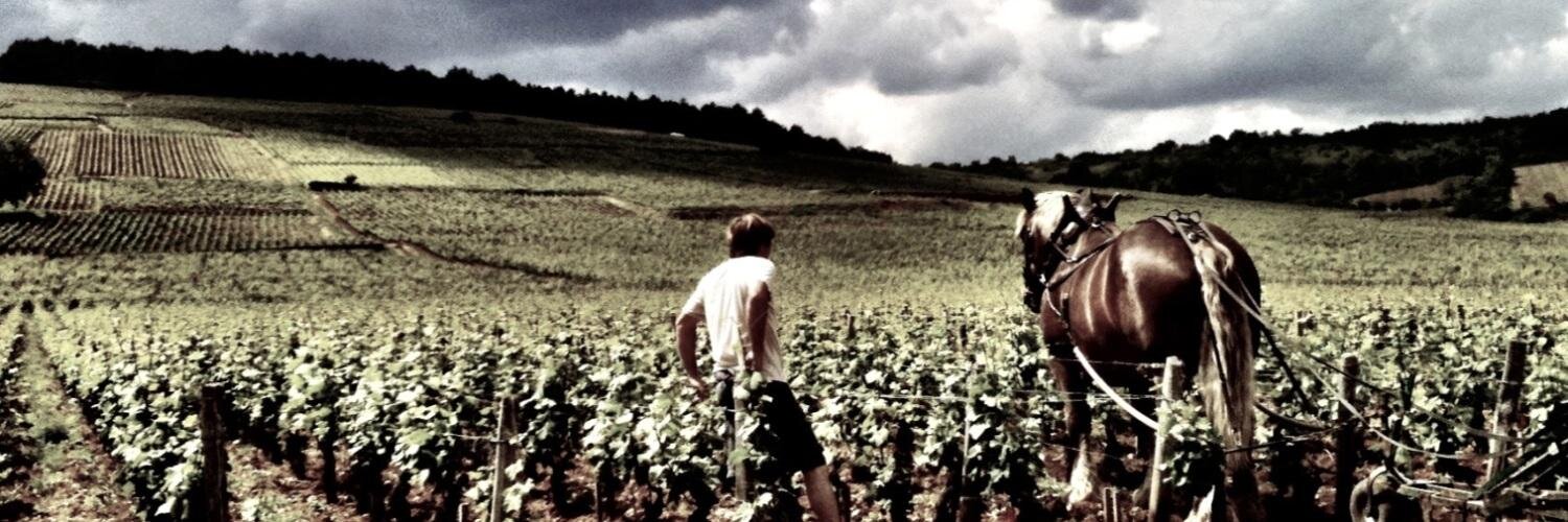 HandfordWines's profile banner image