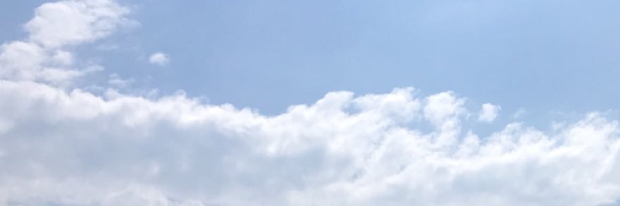 lostinnroses's profile banner image