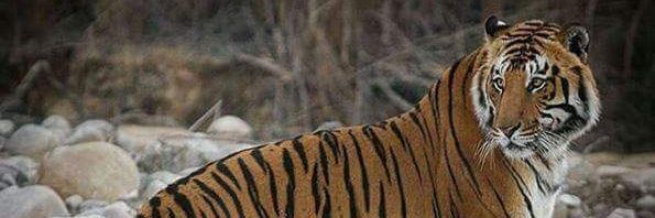 Minarulofficial's profile banner image