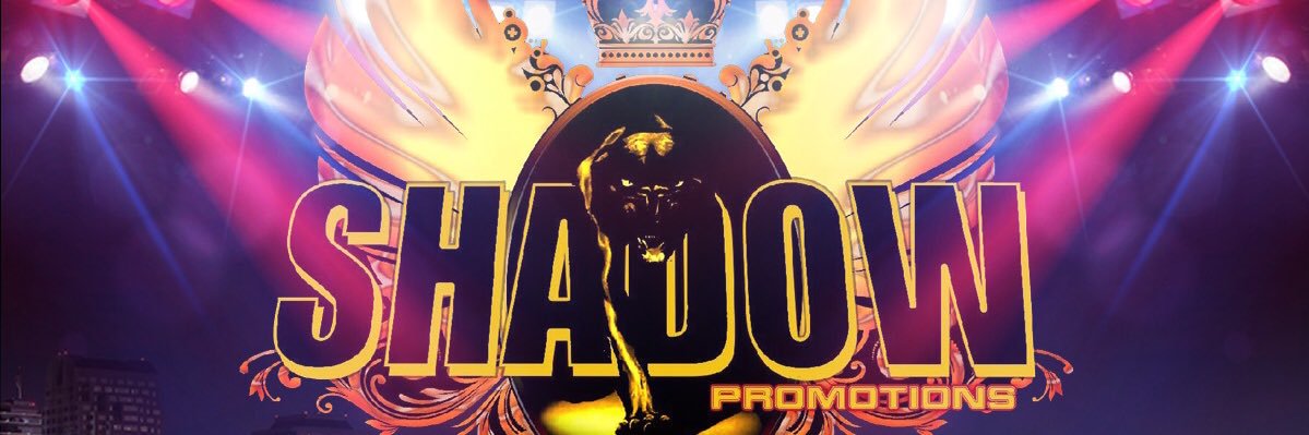SHADOWPROMOTION's profile banner image