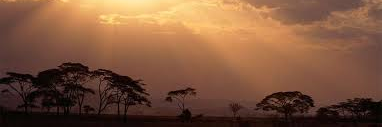 Mariatu_Kamara_'s profile banner image
