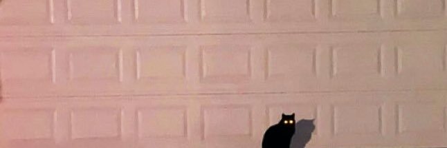 Asher_Benge's profile banner image