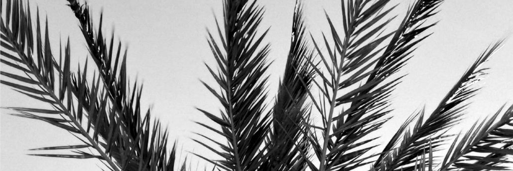 lynnp92's profile banner image