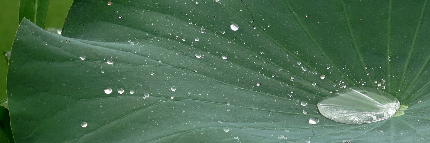 ilike140's profile banner image