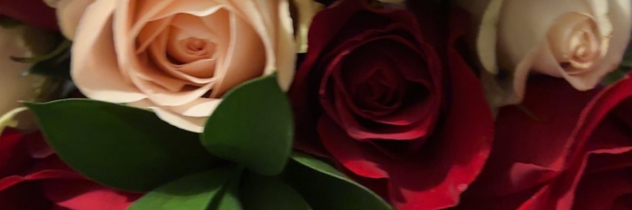 itske_'s profile banner image