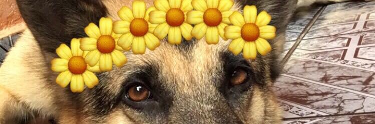 lefreirel's profile banner image