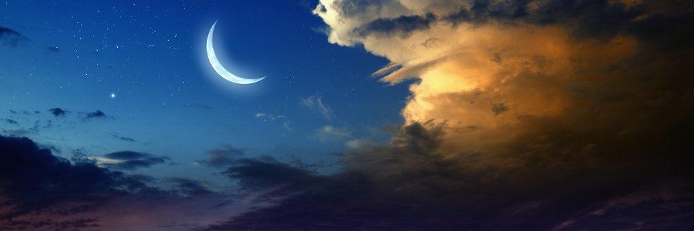 NaranjaTurtle's profile banner image