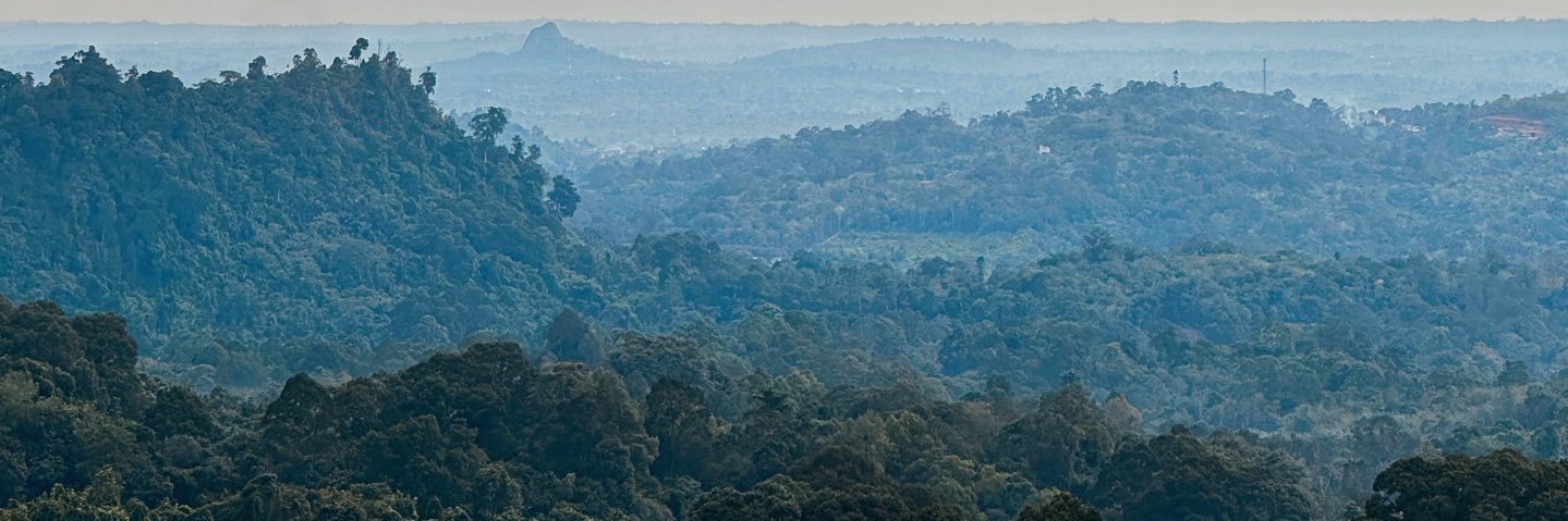 ⋆.𐙚 ̊ midnight rain⋆.❦ banner