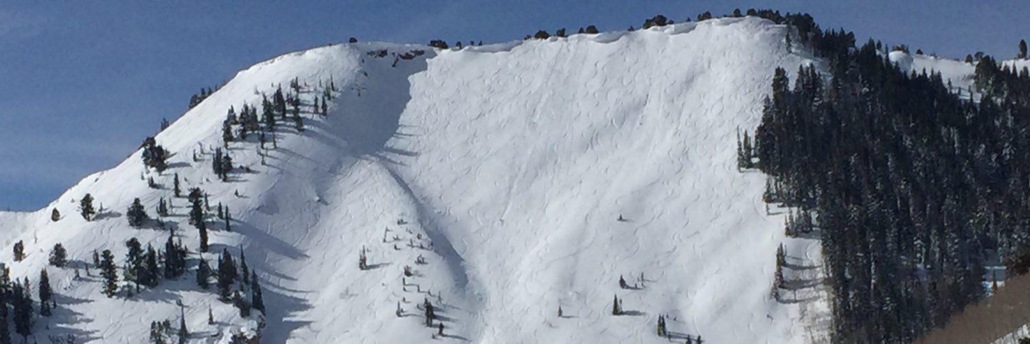 Lisa Silliman-French banner