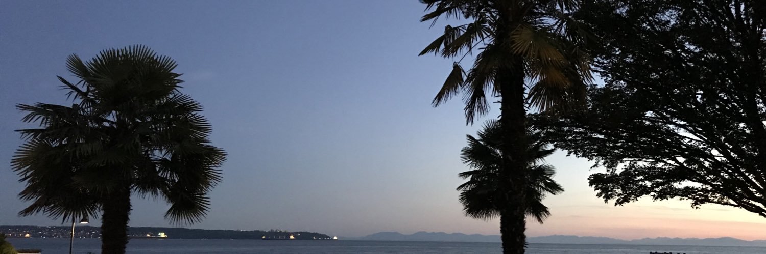 Marie Villeneuve banner