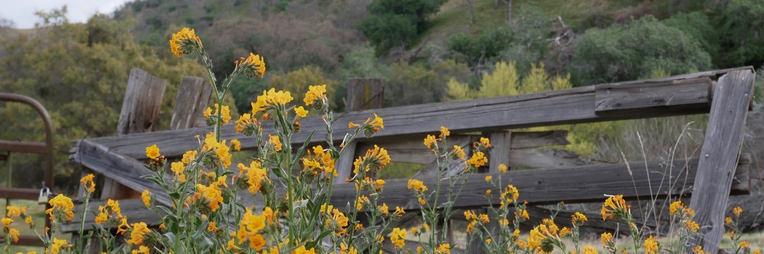 ThereseDuffyWeb's profile banner image