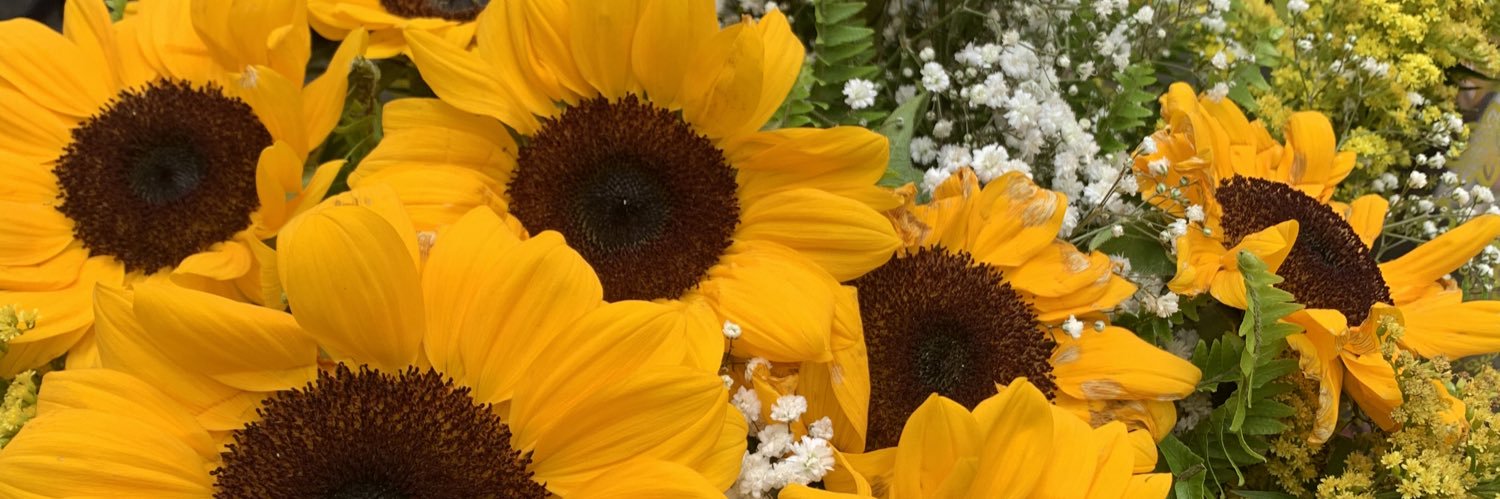 _mayaracoutinho's profile banner image
