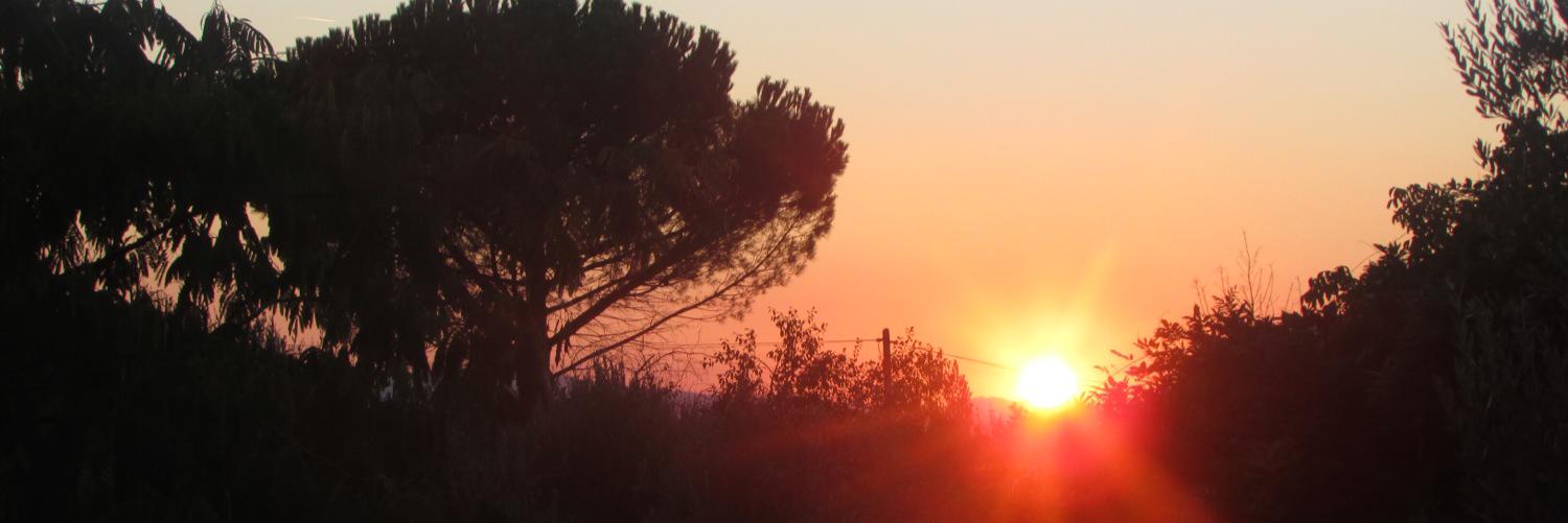 Nooshwriter's profile banner image