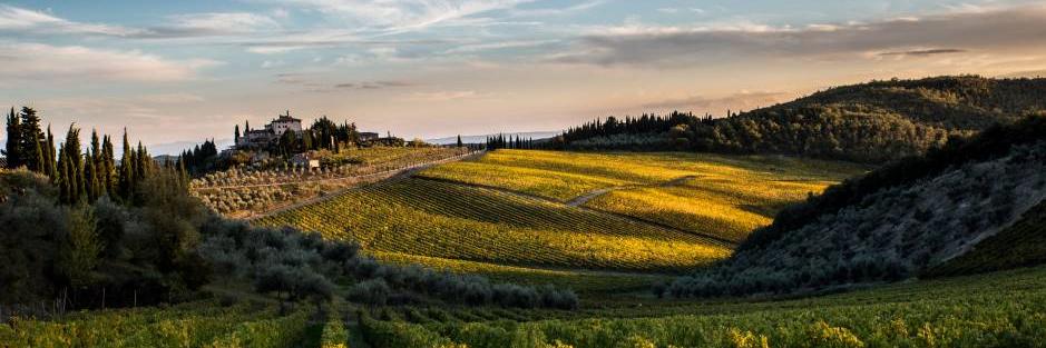 COLDIRETTI TOSCANA banner