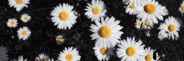 itsmariahhhh's profile banner image