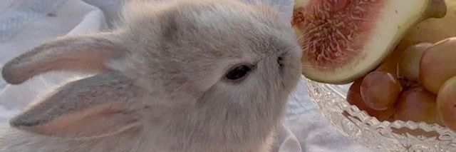 ekiinaslan's profile banner image