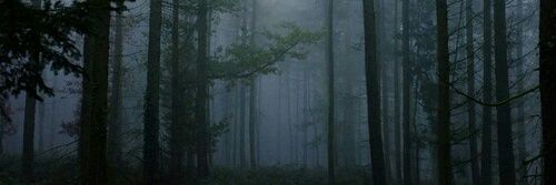 PerryofHope's profile banner image