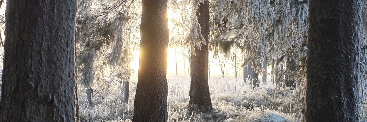 Räkmacka banner