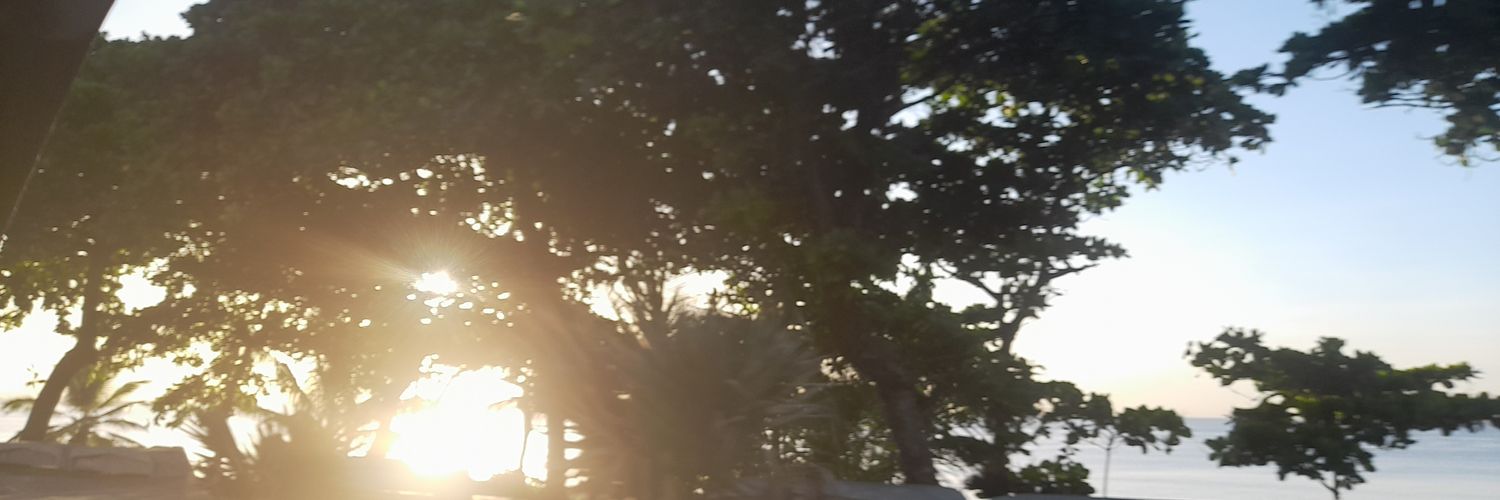 FriasRuth's profile banner image