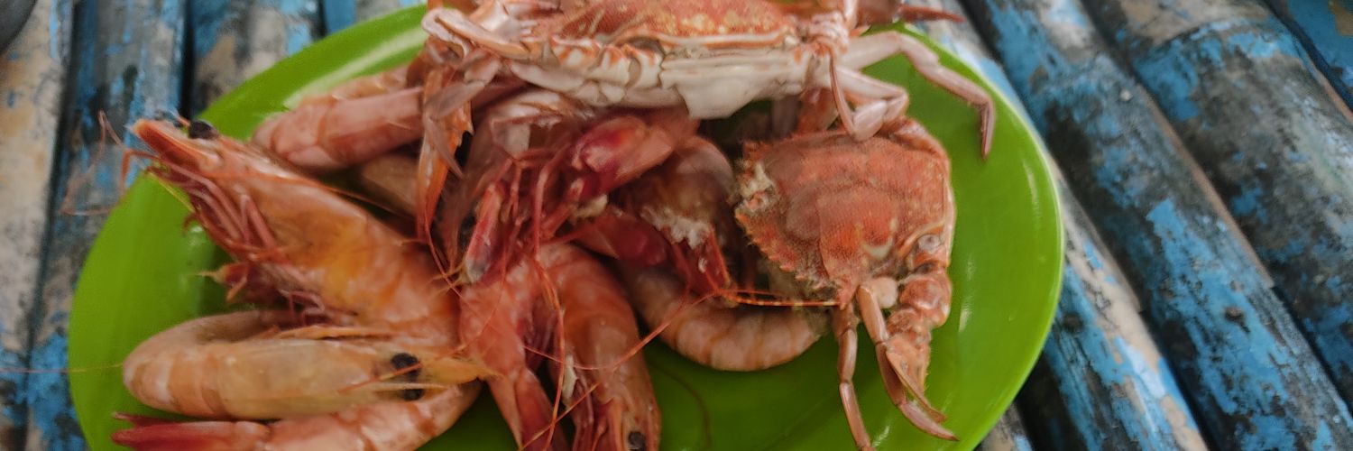 mhamulatorre09's profile banner image