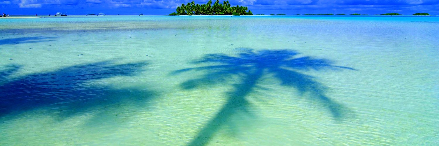 MyCamFans's profile banner image