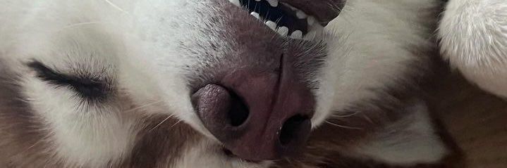 산만언니🌺🎗️ banner